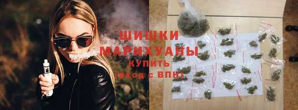 PSILOCYBIN Горно-Алтайск