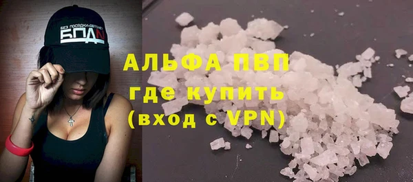 PSILOCYBIN Горно-Алтайск