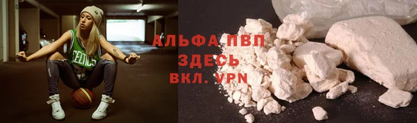 PSILOCYBIN Горно-Алтайск