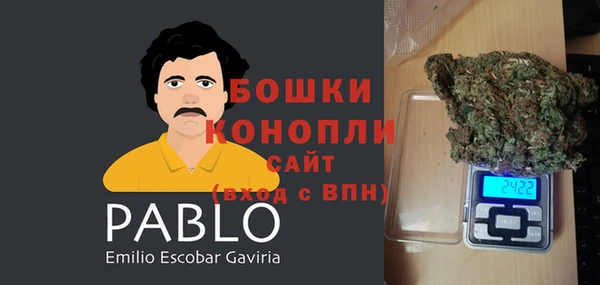 a pvp Горняк