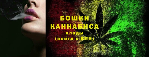прущий лед Вяземский