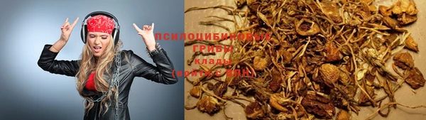 a pvp Горняк